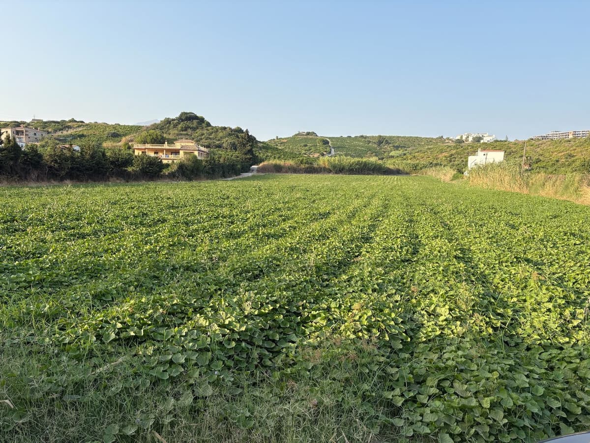 Plot in Casares in Casares - foto 5