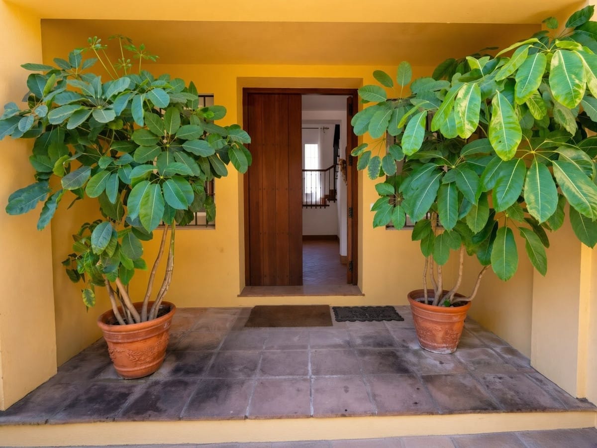 Villa met 5 slaapkamers in Sotogrande Costa in Sotogrande Costa - foto 12