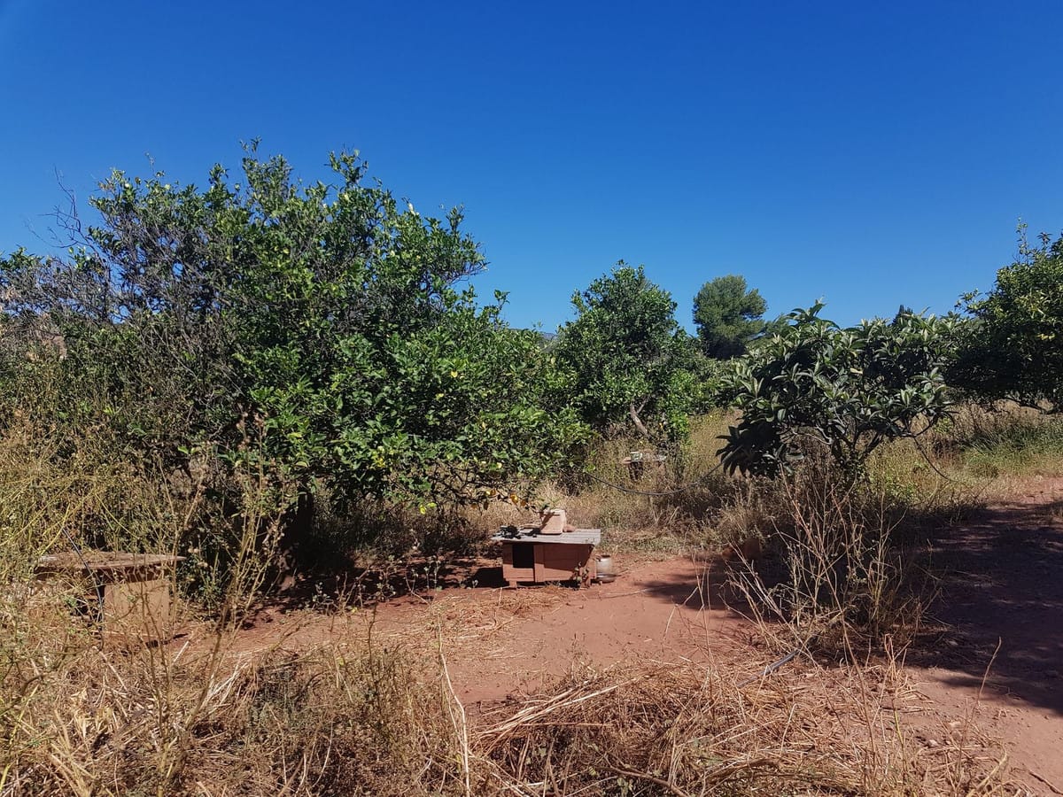 Finca – Cortijo in Estepona, Málaga in Estepona - foto 5