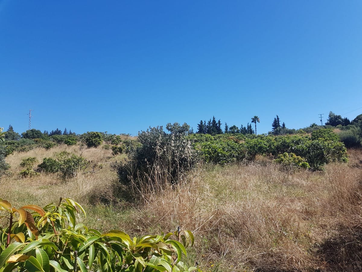 Finca – Cortijo in Estepona, Málaga in Estepona - foto 6