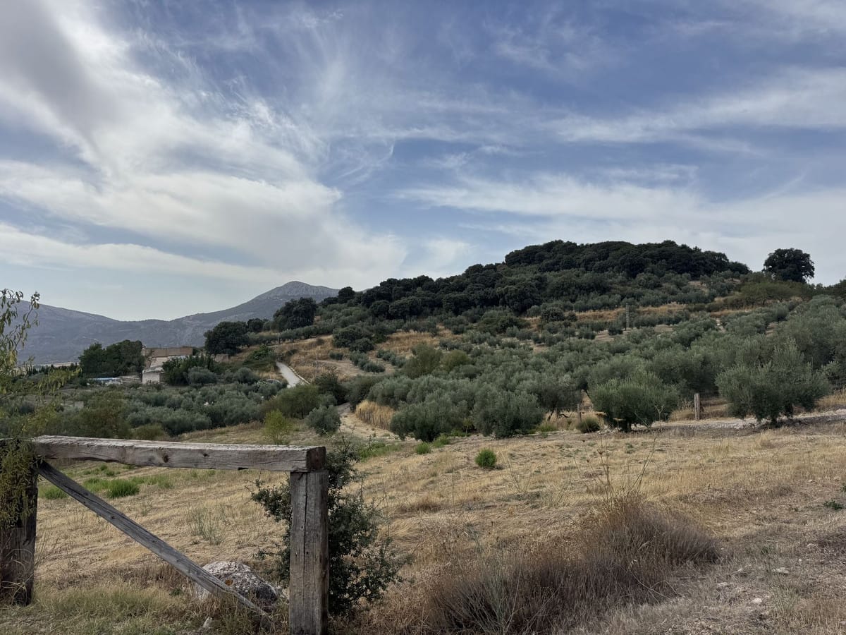 Finca met 3 slaapkamers te koop in Alfarnate, Málaga in Alfarnate - foto 11