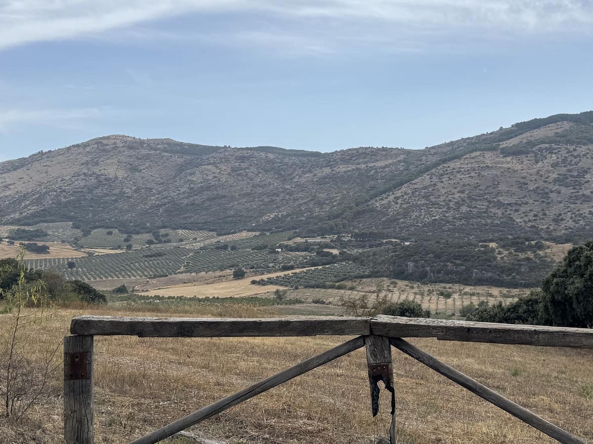 Finca met 3 slaapkamers te koop in Alfarnate, Málaga in Alfarnate - foto 12