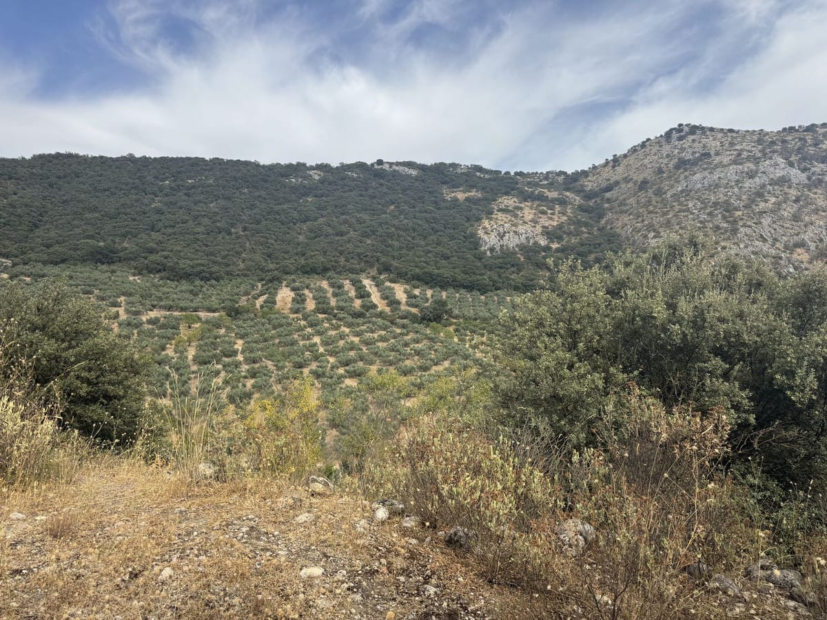 Finca met 3 slaapkamers te koop in Alfarnate, Málaga in Alfarnate - foto 18