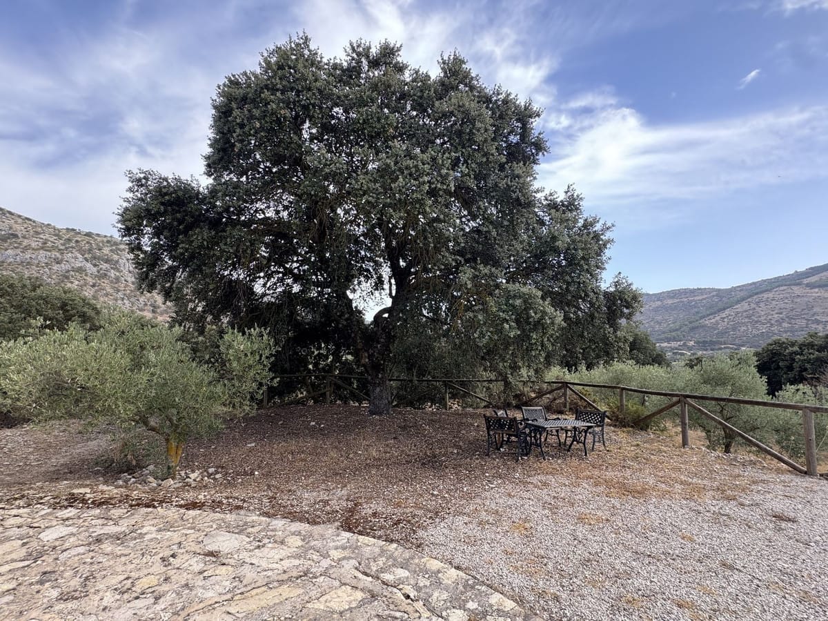 Finca met 3 slaapkamers te koop in Alfarnate, Málaga in Alfarnate - foto 9