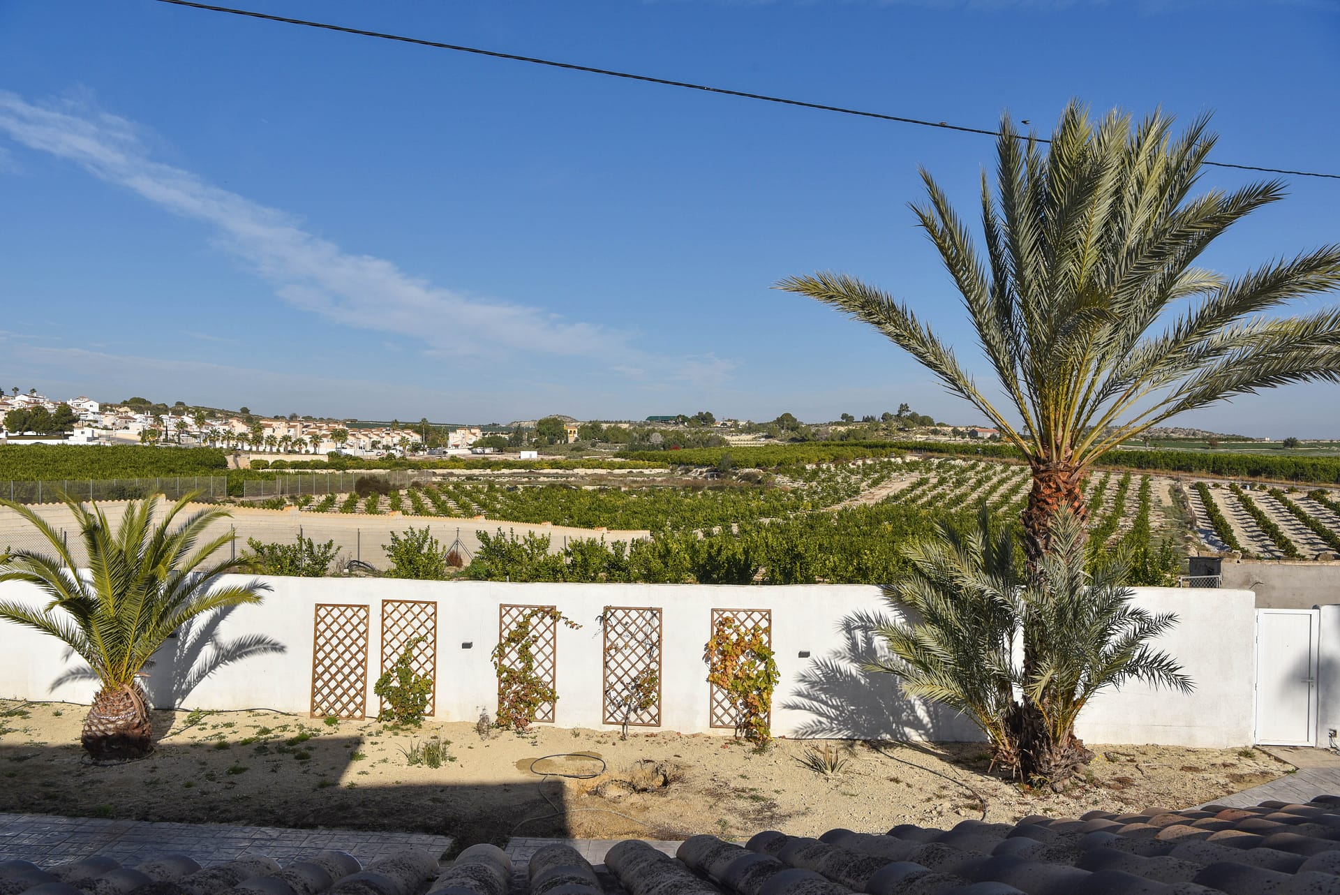 type-not-available(sin-valor) en san-miguel-de-salinas ·  1175000€