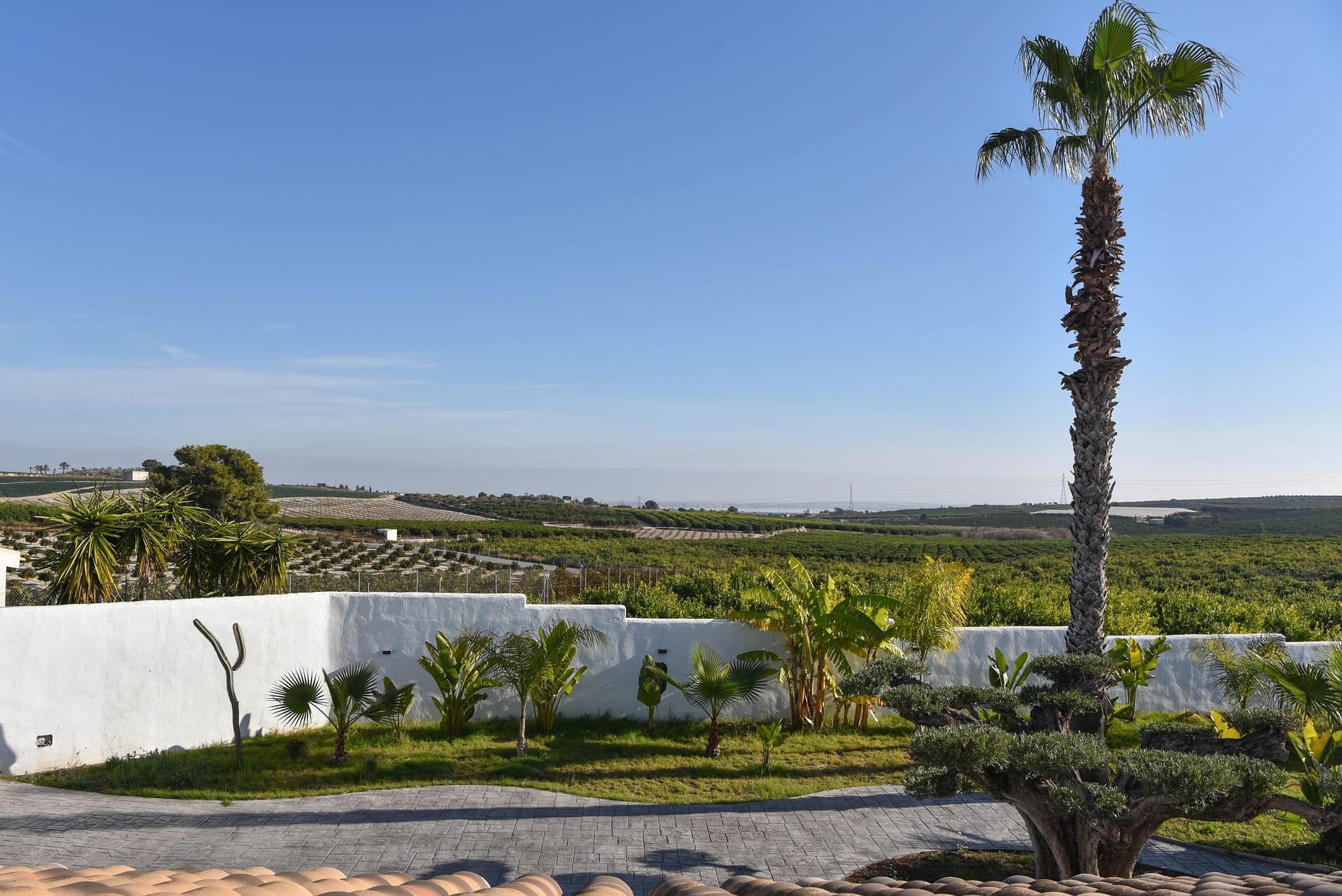 type-not-available(sin-valor) en san-miguel-de-salinas ·  1175000€