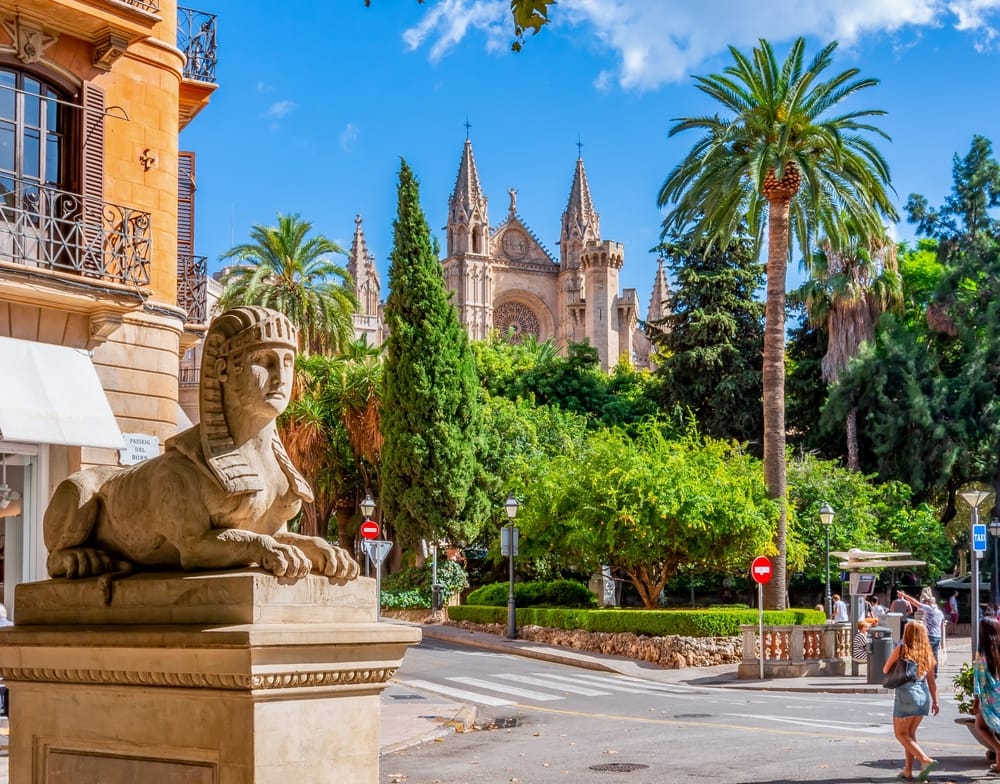 Best Neighborhoods to Buy Property in Palma | Palma Markets