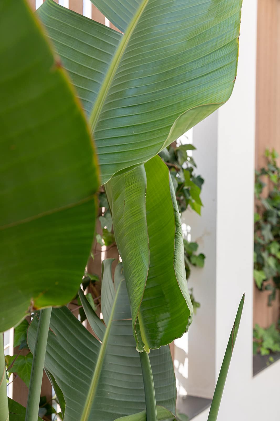 Reformed apartment with generous terrace in Son Armadams, Palma 30