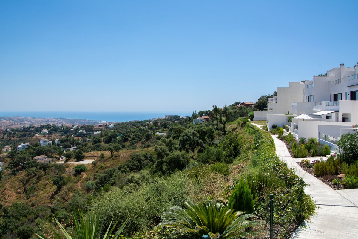 property in