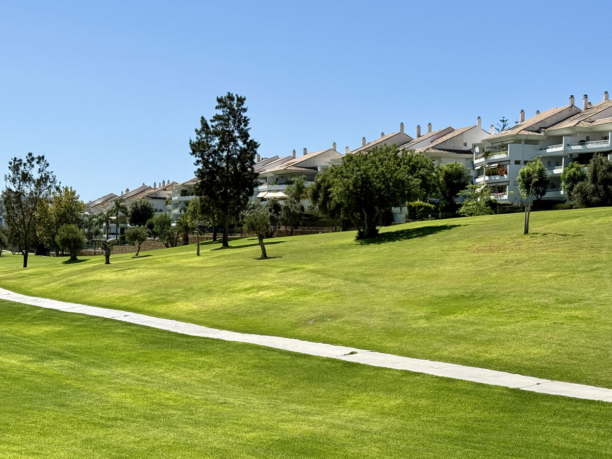 property in