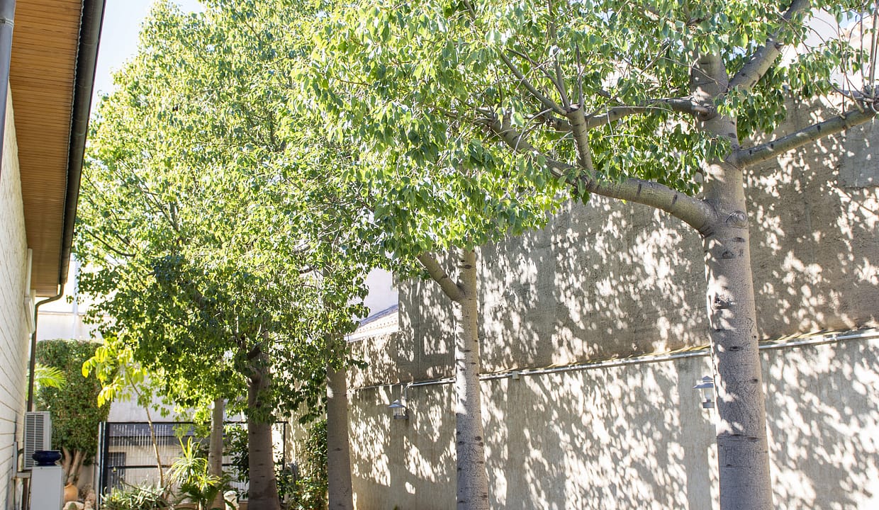 hh59929433-01-image-6