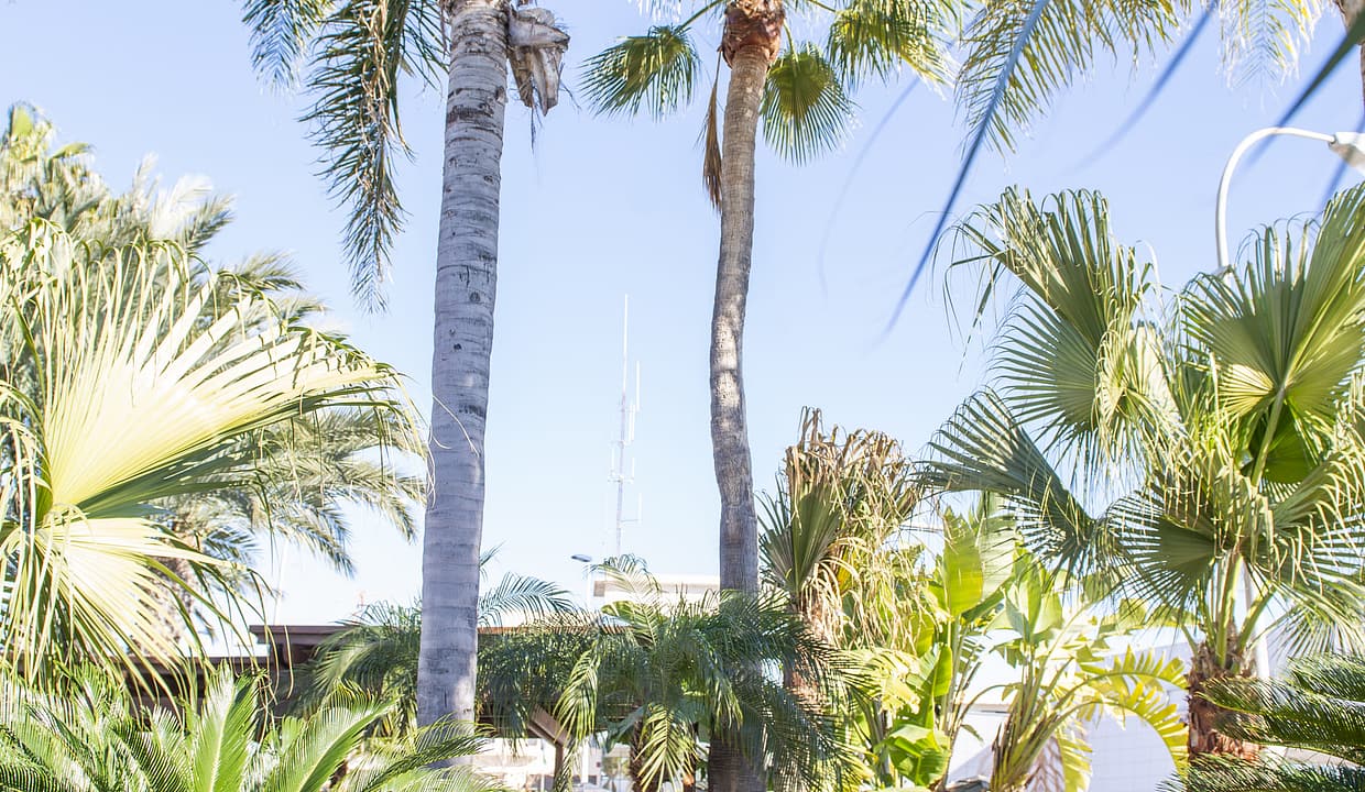 hh59929433-01-image-13