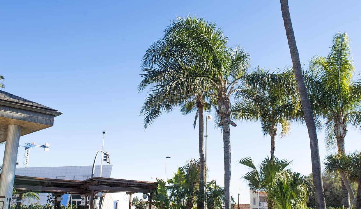 hh59929433-01-image-5