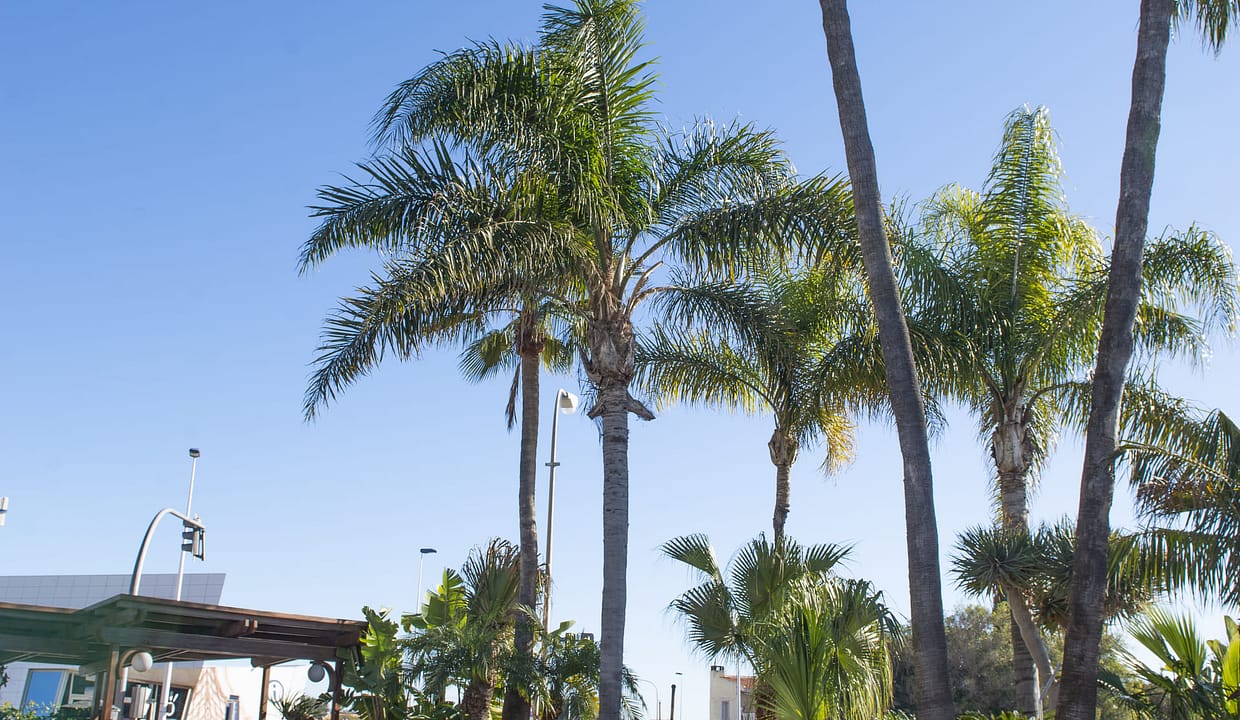 hh59929433-01-image-2