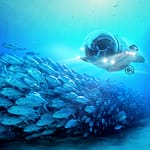 2A80FE64-06D5-49BA-906C-4E6210813333