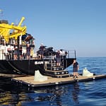 6-TE-STREEP_Platform-4tTqsQSP