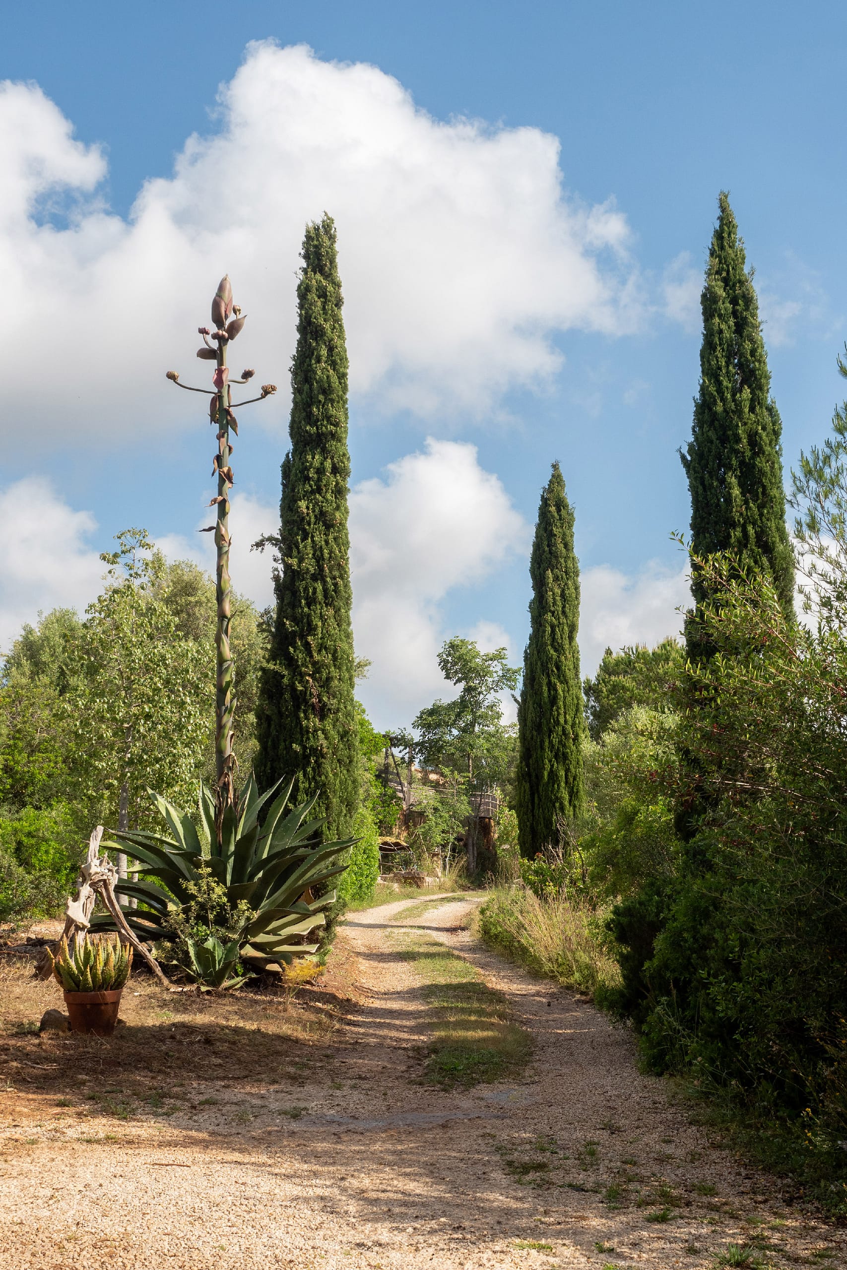 Country home on large plot in a private location 12