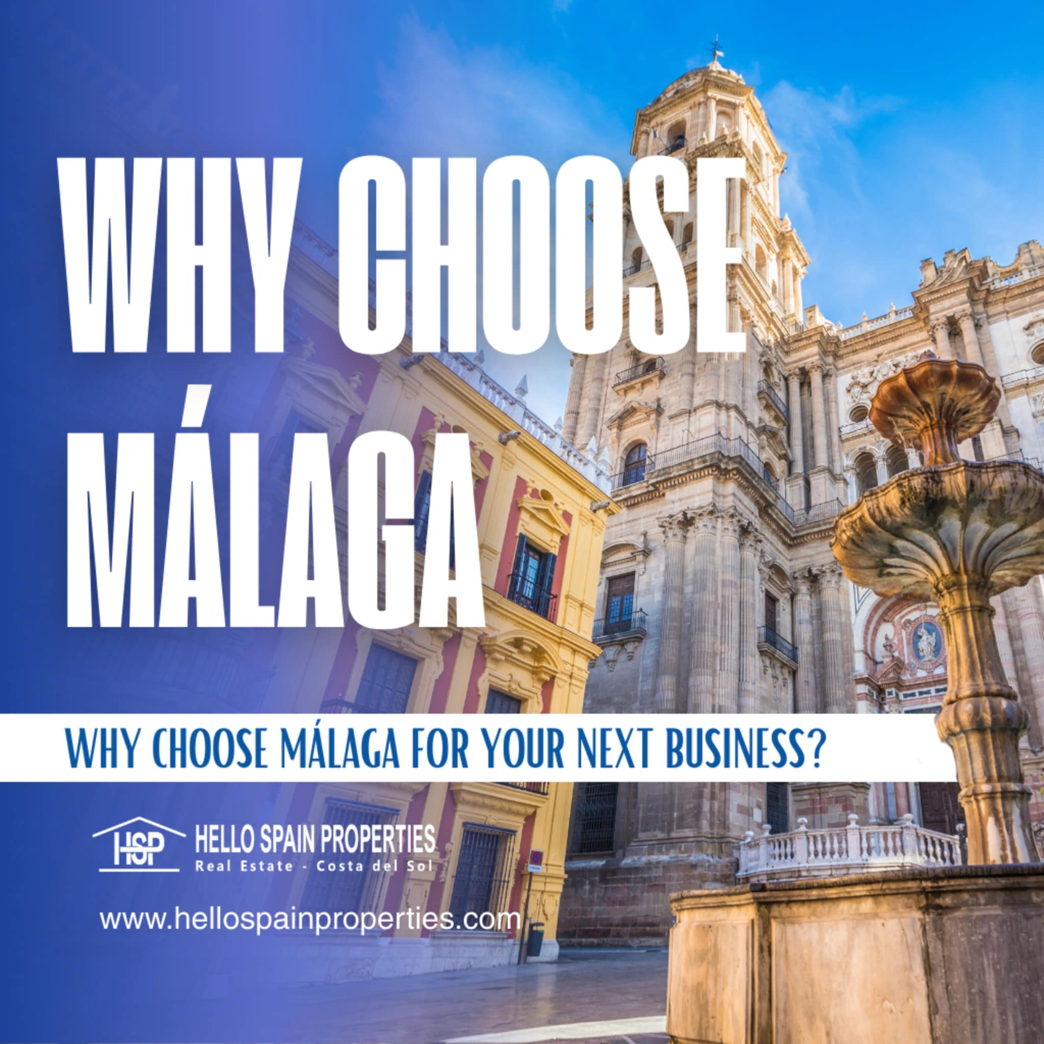 Business and real estate investment destination in Costa del Sol - Málaga