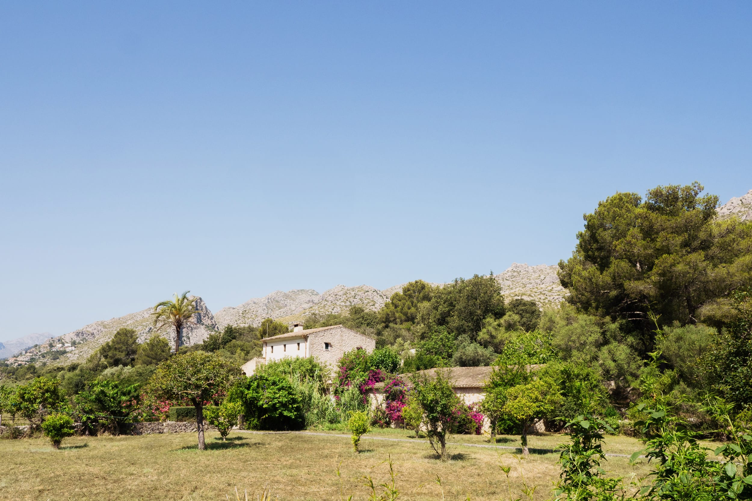 Stunning finca with guest houses in Pollensa 20