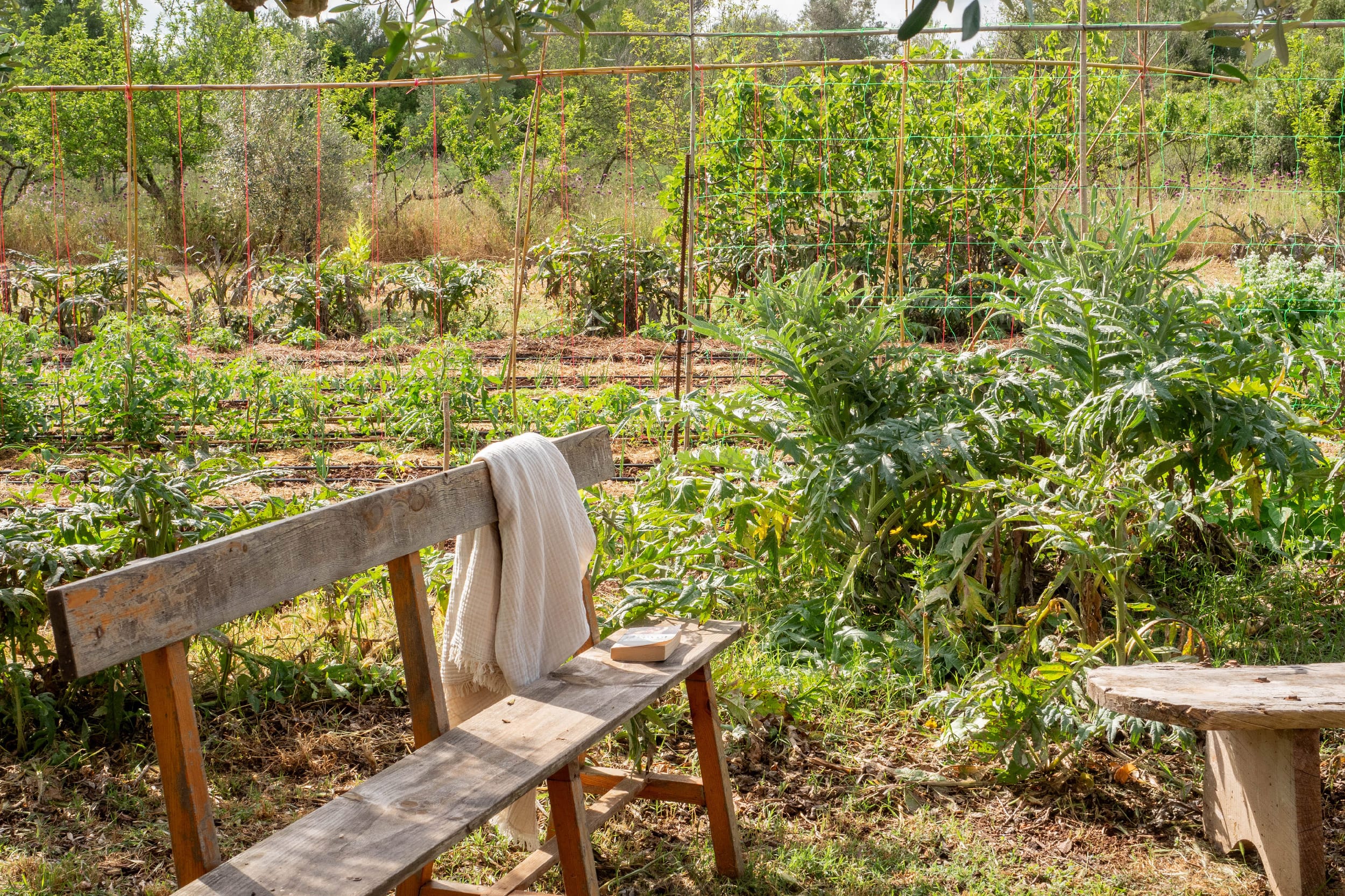 Country home on large plot in a private location 19