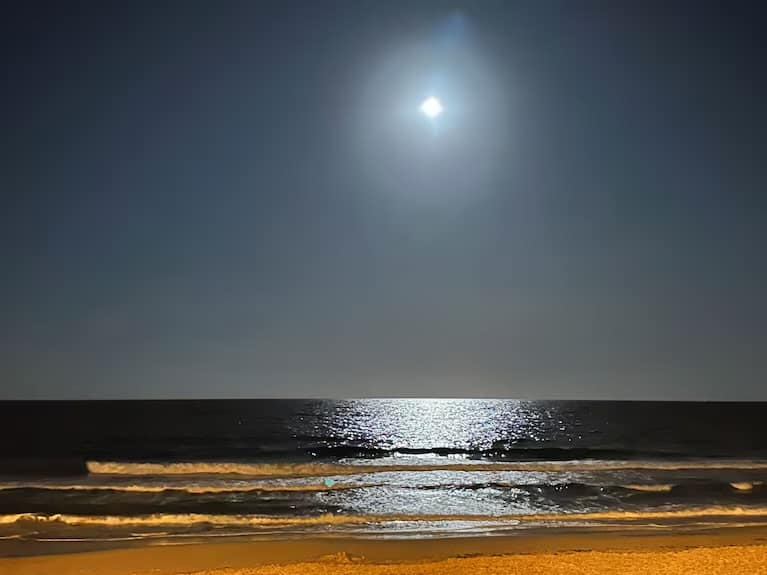 Photo 05-02-2025, 13 56 27 (22)