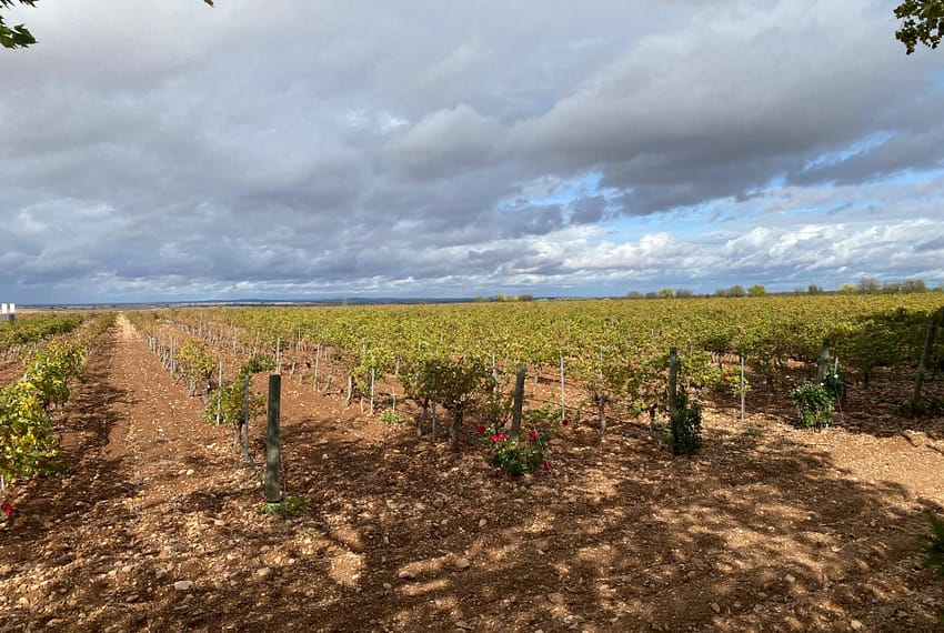 bpcor2937-2344-image-2