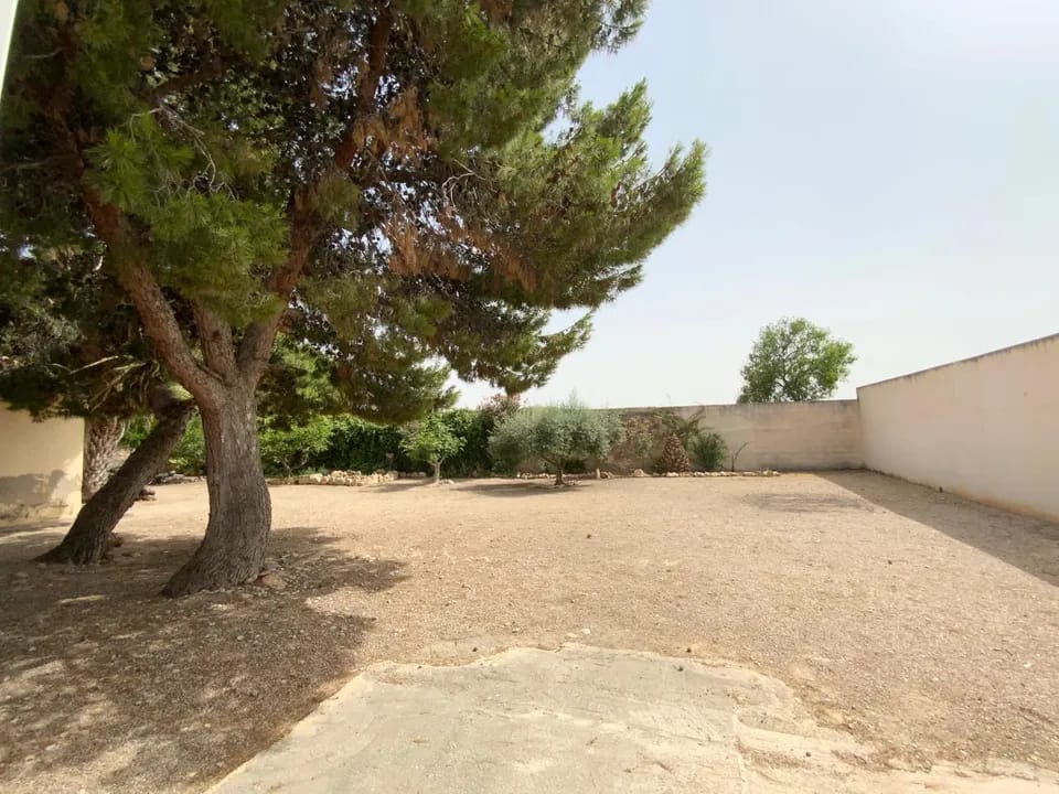 9klz6d2rgmk_WhatsApp Image 2025-06-17 at 13.03.13 (12)