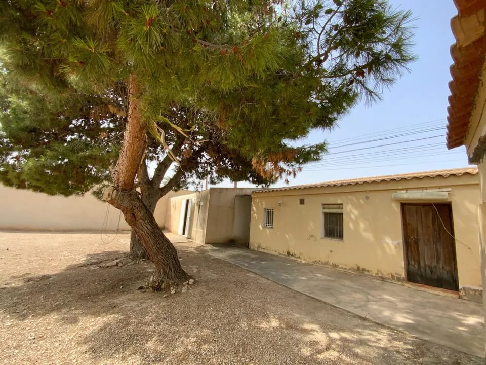 u1fyunq045s_WhatsApp Image 2025-06-17 at 13.03.13 (8)