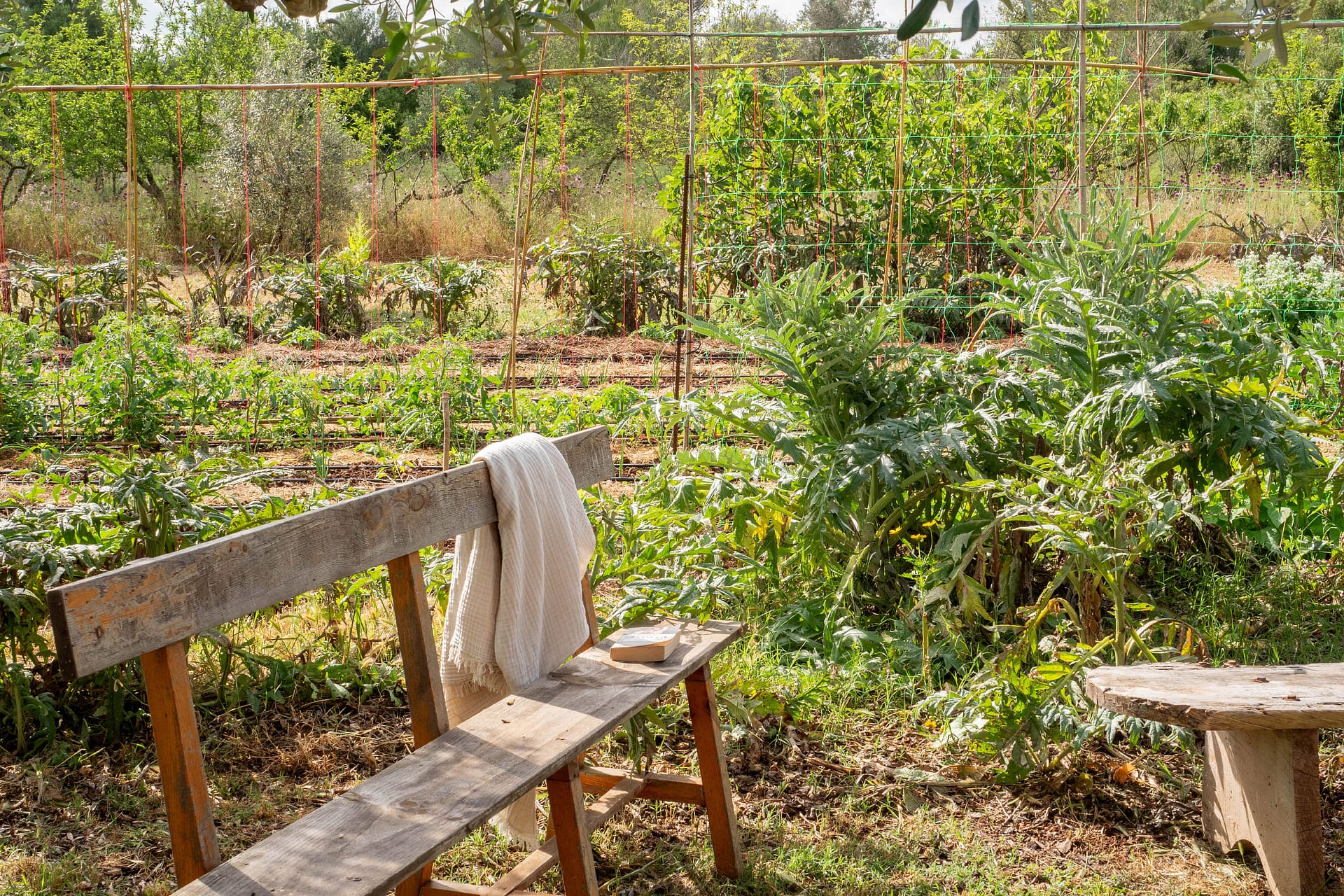 Country home on large plot in a private location 19