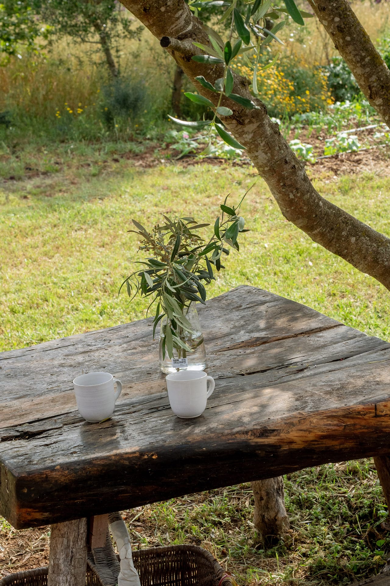 Country home on large plot in a private location 18