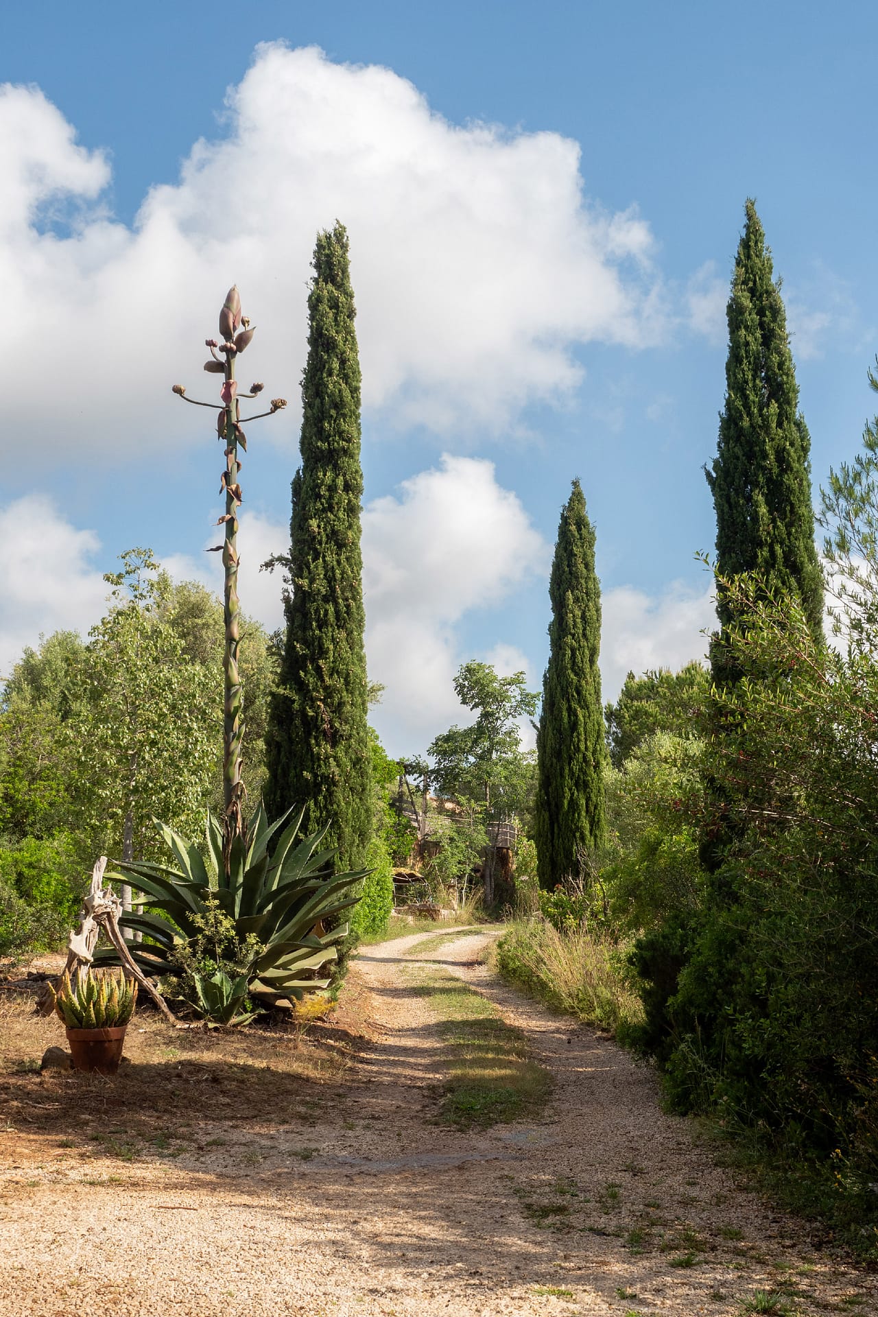 Country home on large plot in a private location 12