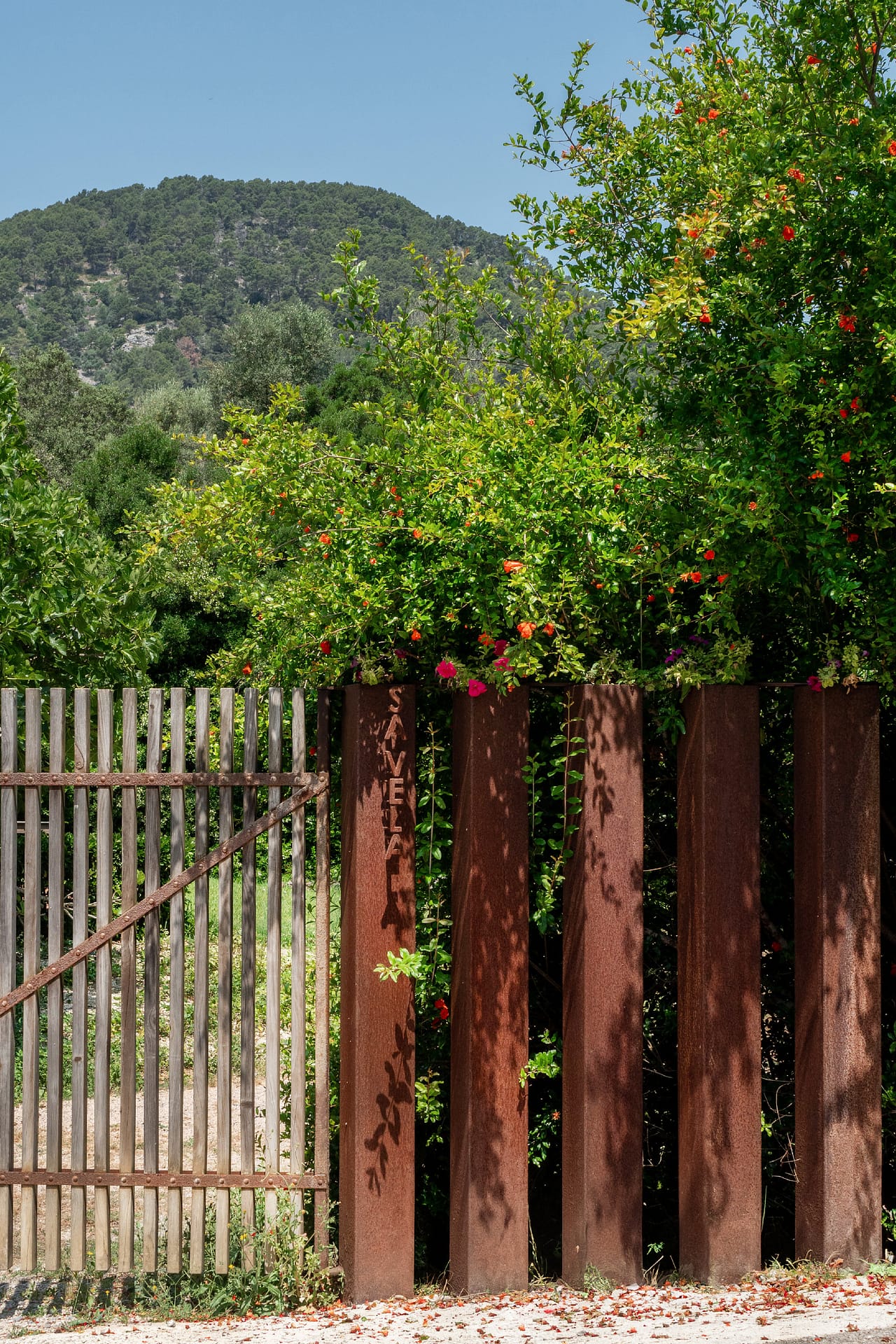 Secluded countryside finca with pool and and tourist license in Campanet 14