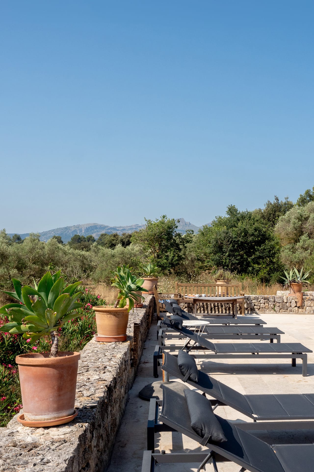 Stunning finca with guest houses in Pollensa