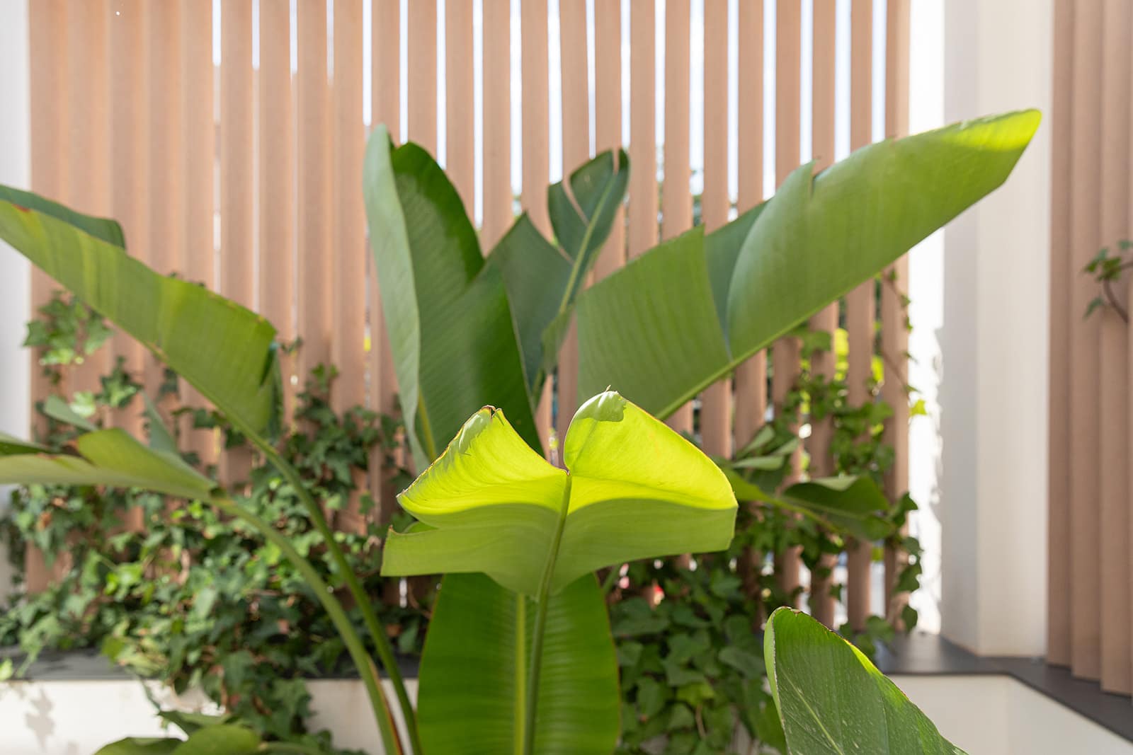 Reformed apartment with generous terrace in Son Armadams, Palma 18