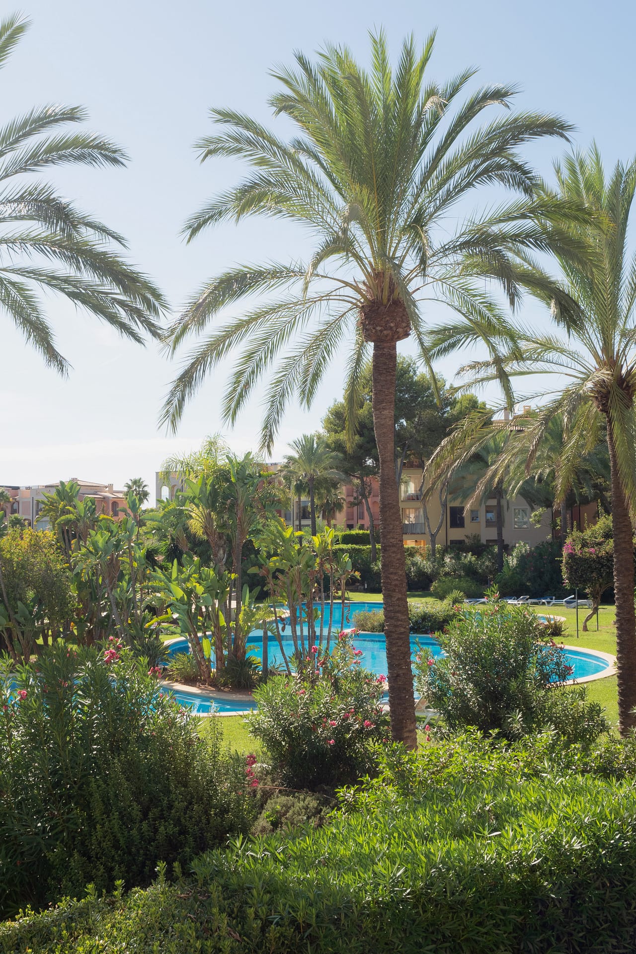 Elegant apartment with spacious terrace and garden views in Ses Penyes Rotges, Nova Santa Ponsa 4