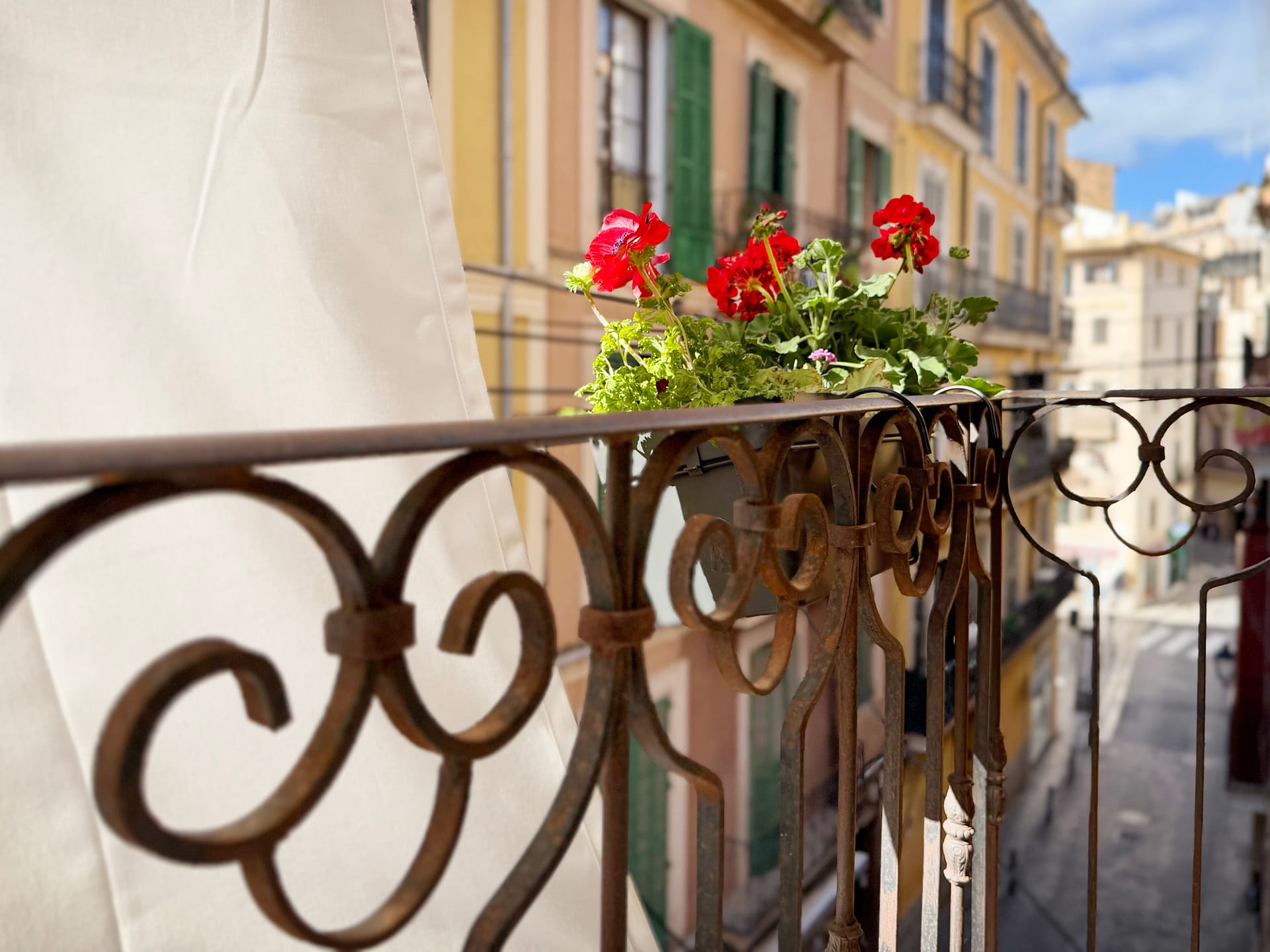 Exceptional designer apartment in Old Town 3